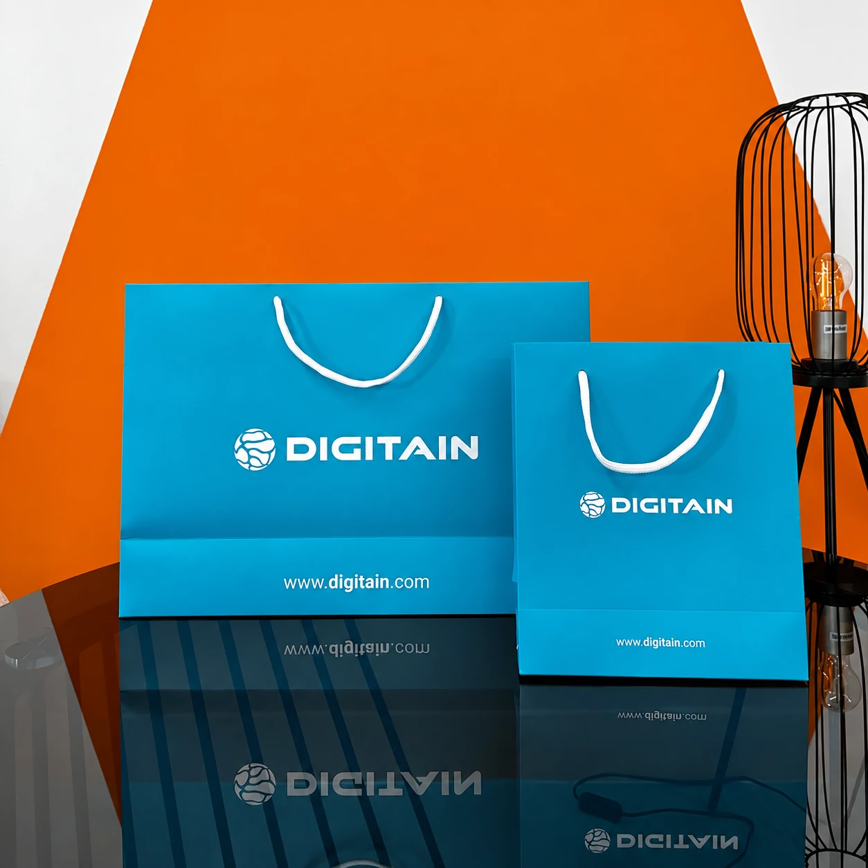 Blue paper bags in two sizes with the white Digitain logo and rope handles.